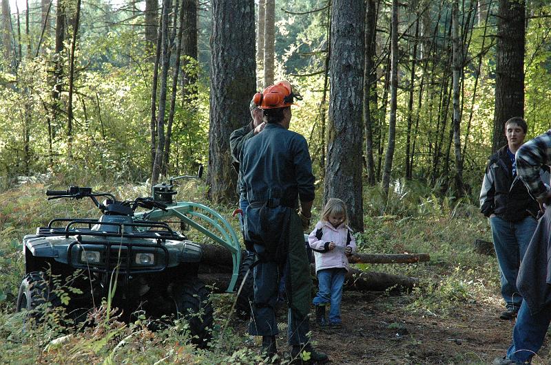 TFFD 50.jpg